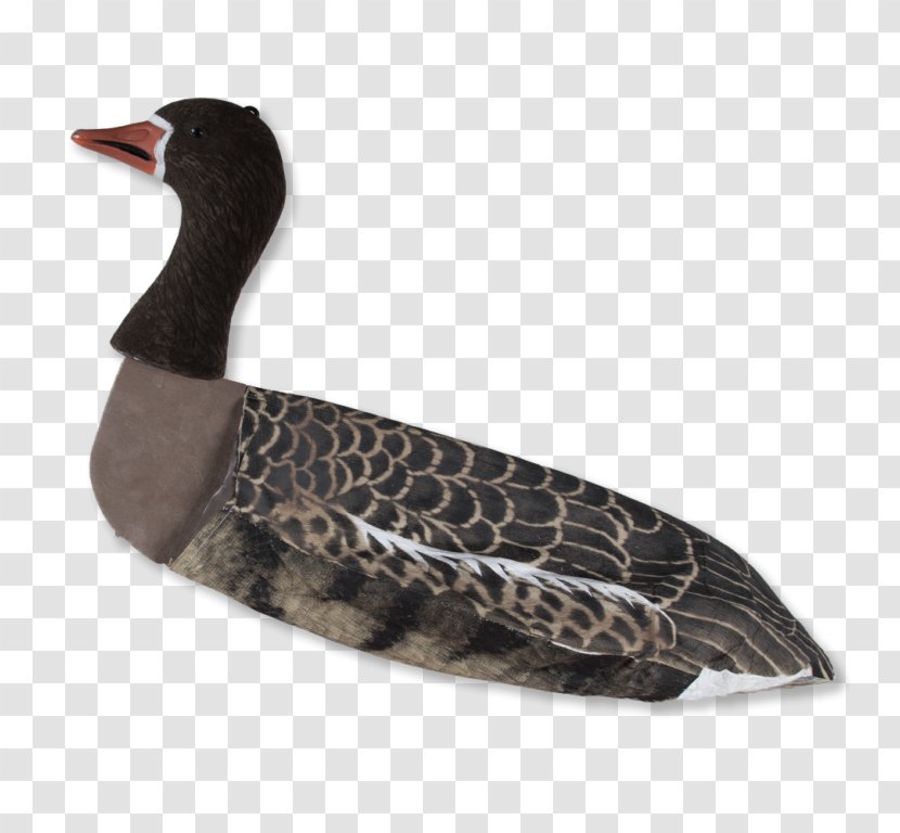 Duck Greylag Goose Lokkefugl Greater White-fronted - Windsock Transparent PNG