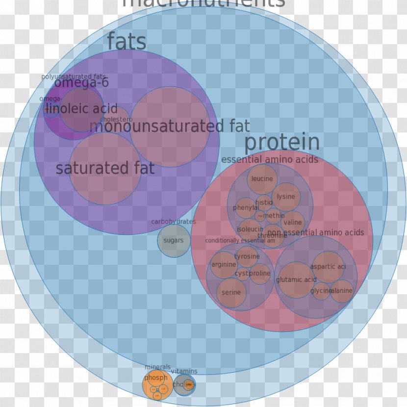 Micronutrient Honey Mustard Dressing Raw Foodism Nutrition - Egg Transparent PNG