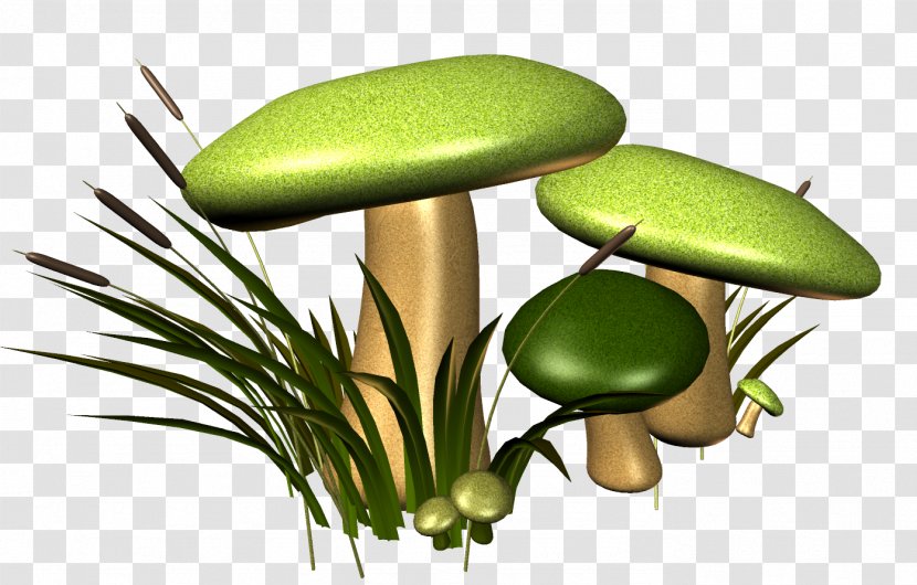 Mushroom Fungus Euclidean Vector Gratis - Resource Transparent PNG
