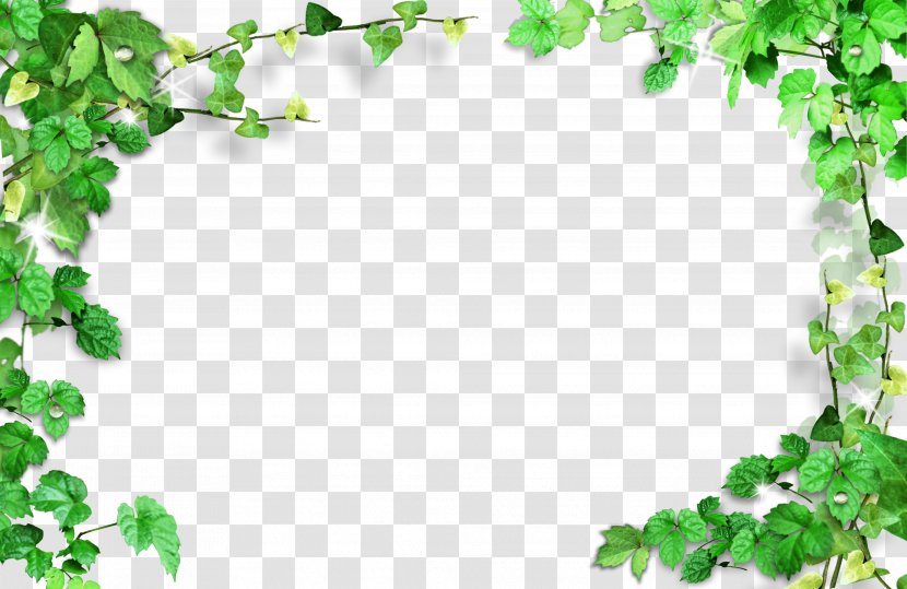 Green - Ivy - Leaves Frame,Plant Frame Transparent PNG