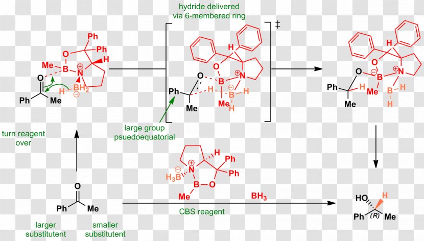 Corey–Itsuno Reduction Reagent CBS Catalyst Jones Oxidation Chemical Reaction - Coreyitsuno - Text Transparent PNG