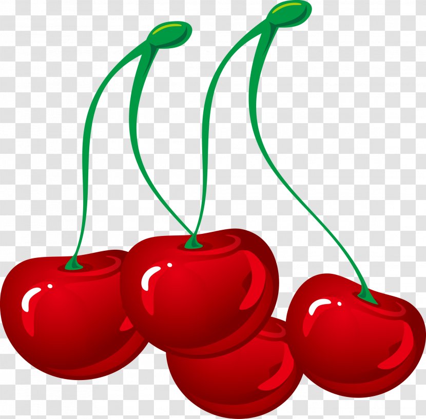 Cherry Euclidean Vector Vecteur - Gratis - Decoration Transparent PNG