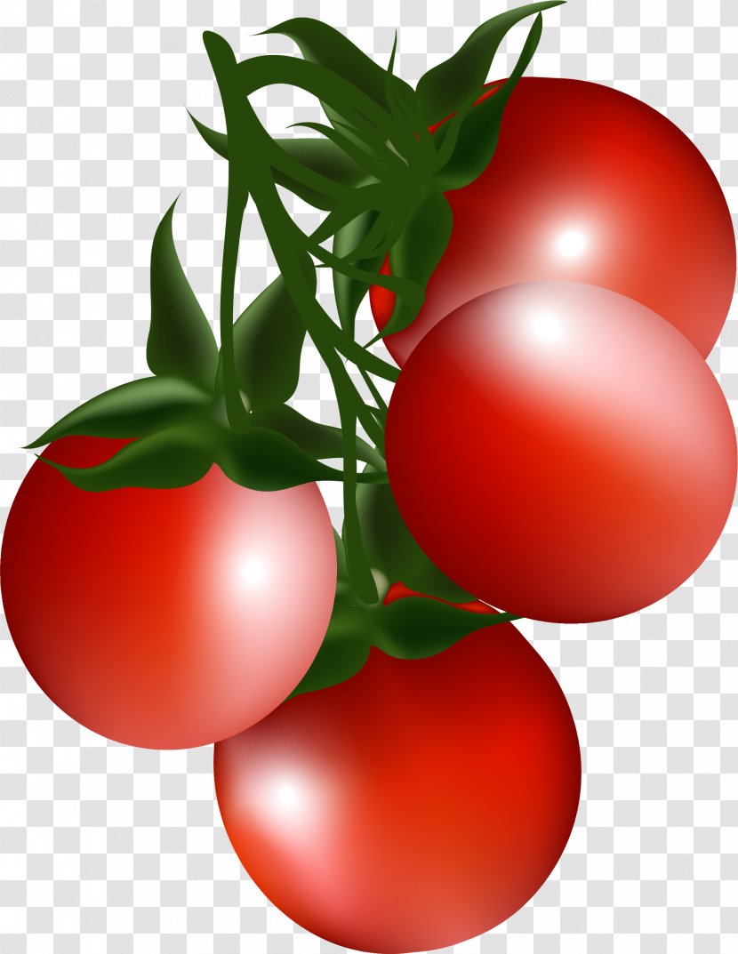 Cherry Tomato Bush Clip Art - Salad - Cartoon Red Transparent PNG