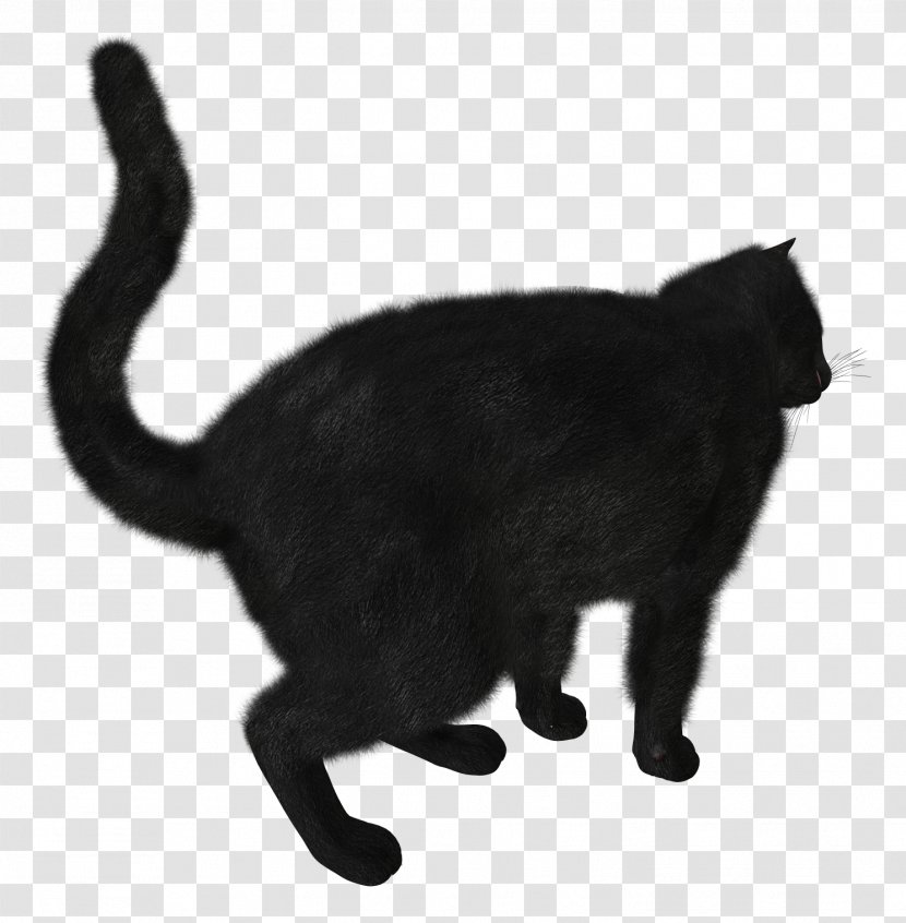 Black Cat Kitten Clip Art - And White - Cats Transparent PNG