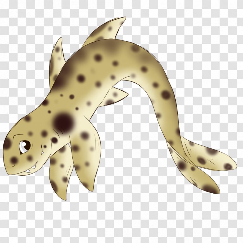 Amphibian Terrestrial Animal Fish - Organism Transparent PNG