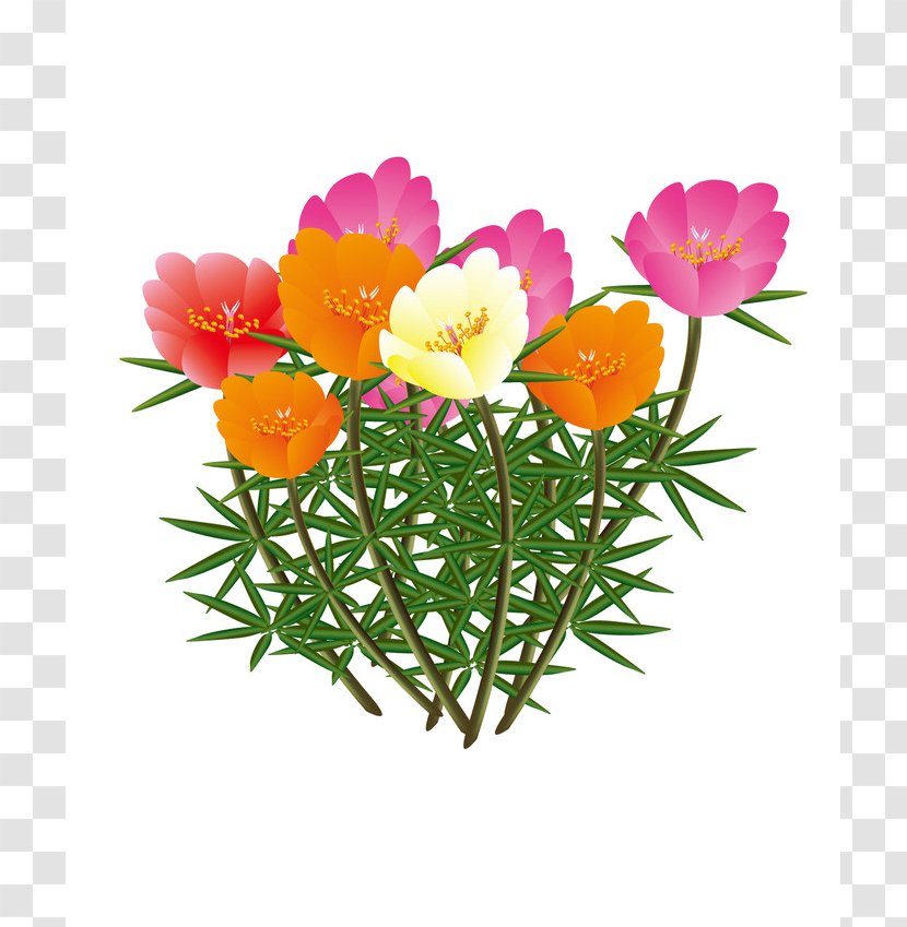 Petal Cut Flowers Clip Art - Flowering Plant - Flower Transparent PNG