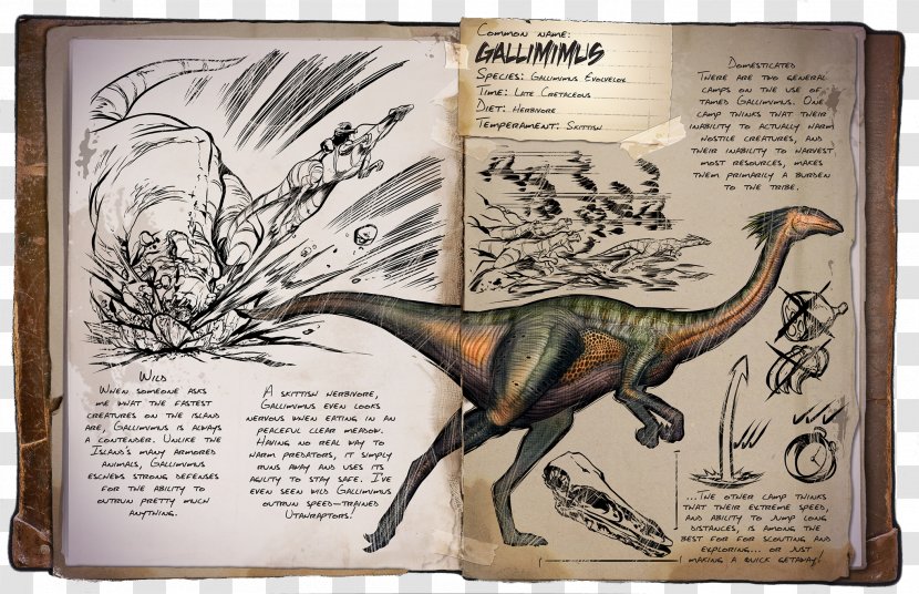 Gallimimus ARK: Survival Evolved Titanosaurus Dinosaur Xbox One - Early Access Transparent PNG