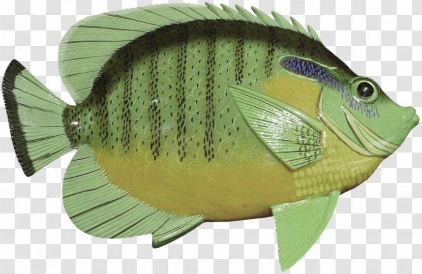 Fish Green Clip Art - Animation - Olive Transparent PNG