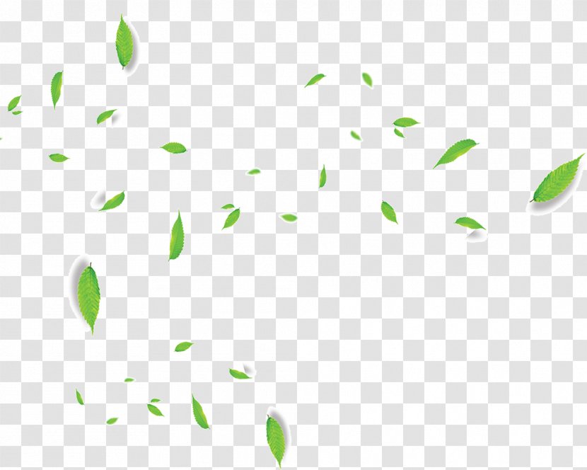 Leaf Wreath Green Download - Grass - Flowing Leaves Transparent PNG