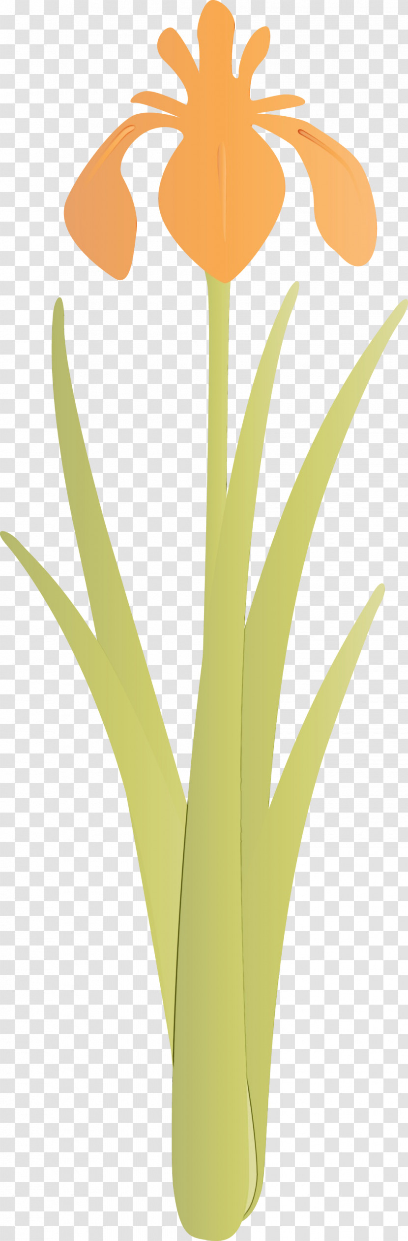 Yellow Leaf Plant Grass Family Flower Transparent PNG