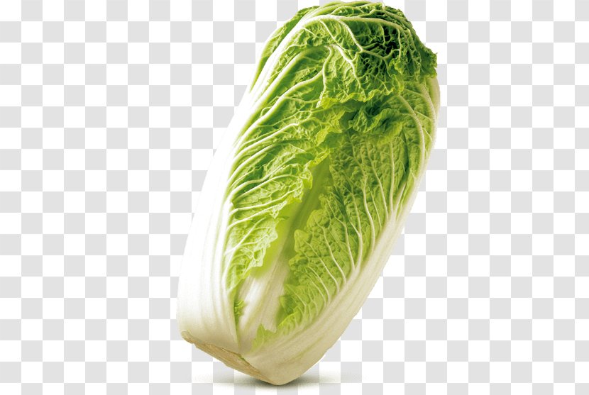 Romaine Lettuce Cabbage Cruciferous Vegetables Rutabaga Spring Greens - Food - Chinese Transparent PNG
