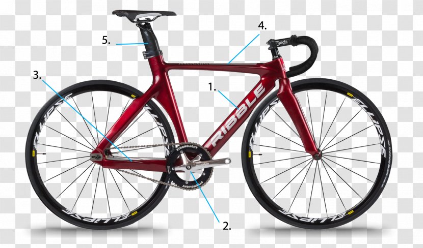Fixed-gear Bicycle Giant Bicycles Cycling SRAM Corporation - Argon 18 Transparent PNG
