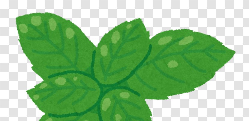 Lemon Basil Herb Leaf Food - Tree Transparent PNG