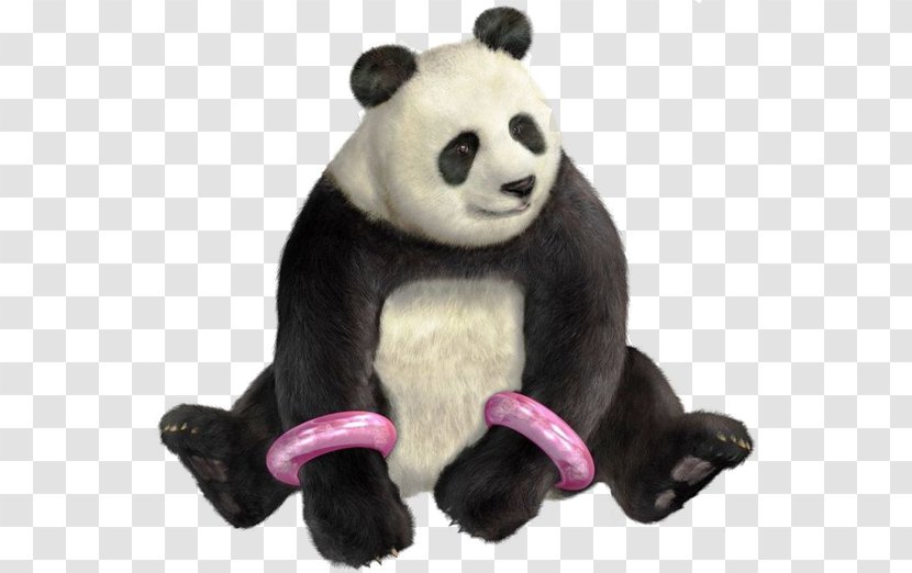 Tekken 3 Tag Tournament 2 6 4 - Fur - Panda Transparent PNG