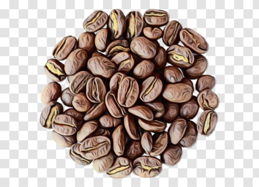 Nuts & Seeds Food Nut Plant Seed - Superfood - Java Coffee Transparent PNG