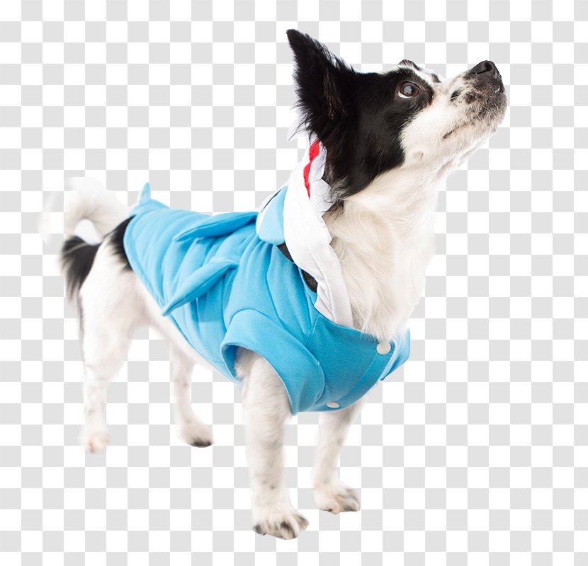 Costume Dog Breed Shark Clothing - Companion Transparent PNG