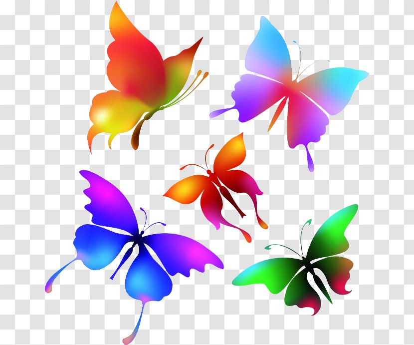 Butterfly Color Royalty-free Clip Art - Drawing Transparent PNG