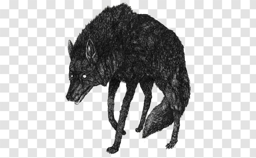 Gray Wolf Art Drawing Derek Hale - Organism - Black And White Transparent PNG