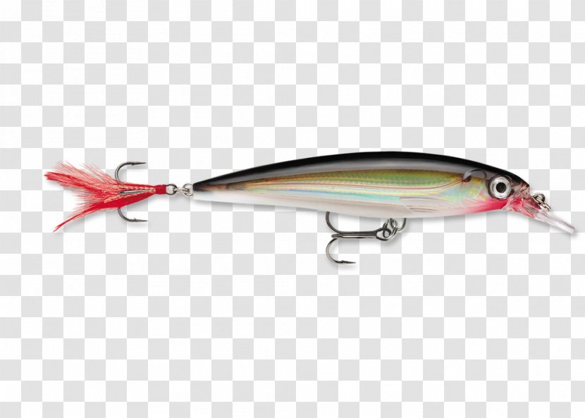 Rapala Fishing Baits & Lures Bass Worms Angling - Frame Transparent PNG