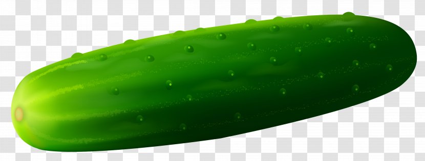 Cucumber Hamburger Vegetable Clip Art - Cucurbitaceae - Transparent Cucamber Clipart Picture Transparent PNG