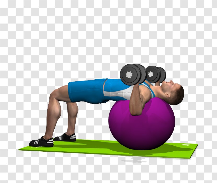 Pilates Medicine Balls Exercise - Joint - Equipment Transparent PNG