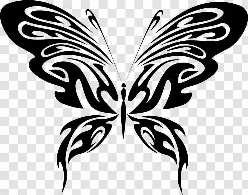 Butterfly Clip Art - Line Transparent PNG