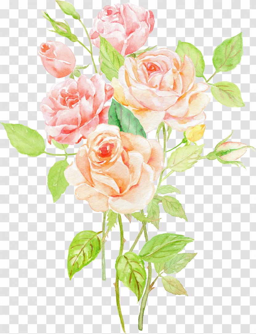 Garden Roses Beach Rose Centifolia Flower - Bouquet - Creative Valentine's Day Transparent PNG