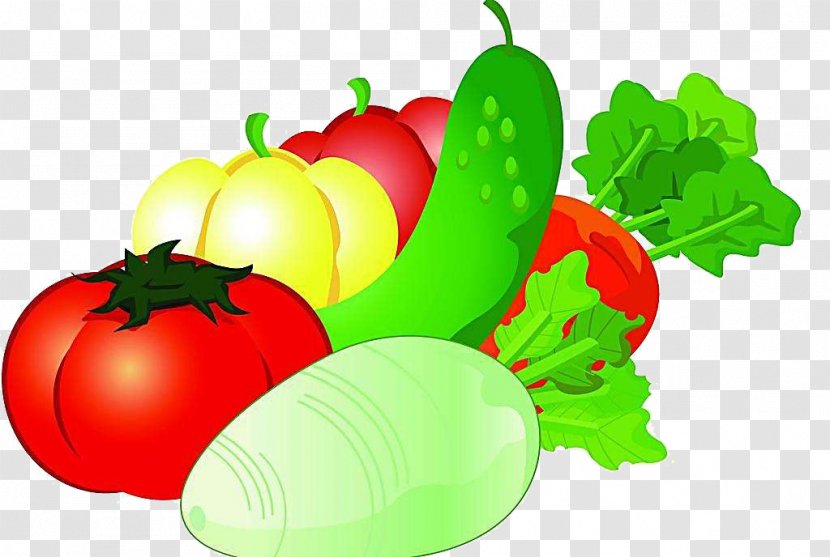 Vegetable Auglis Cartoon - Tomato - Fruit And Transparent PNG