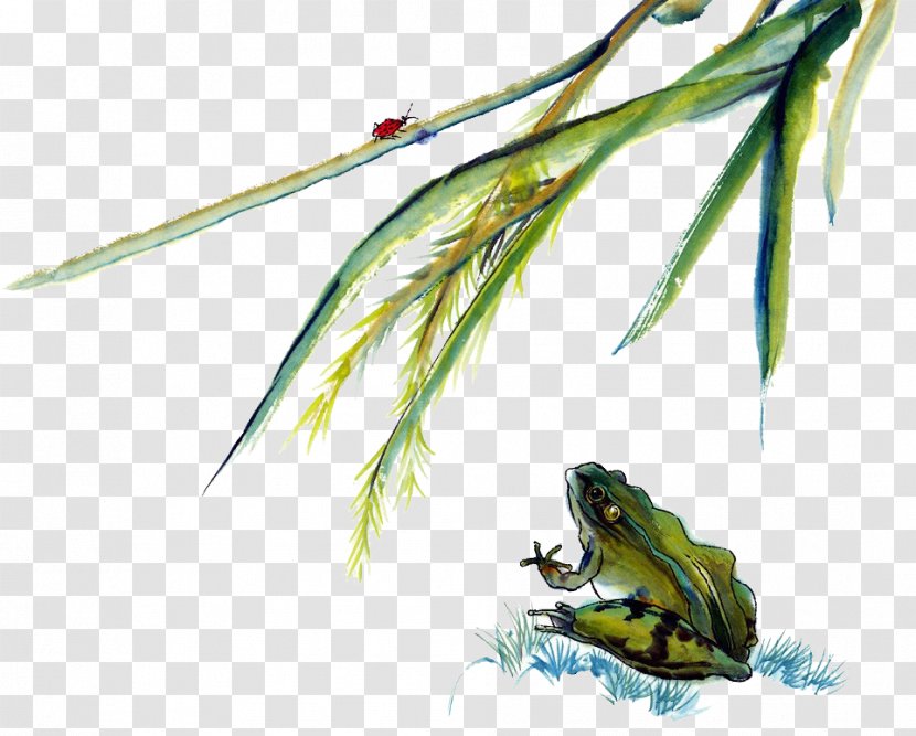 Ink Wash Painting Chinese - Grass - Frog Transparent PNG