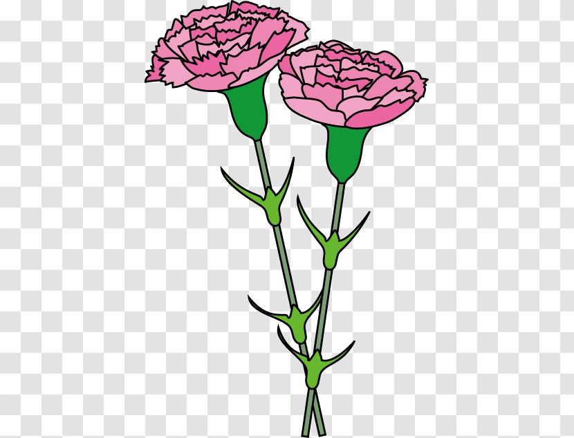 Carnation Free Content Royalty-free Clip Art - Leaf - Cliparts Transparent PNG