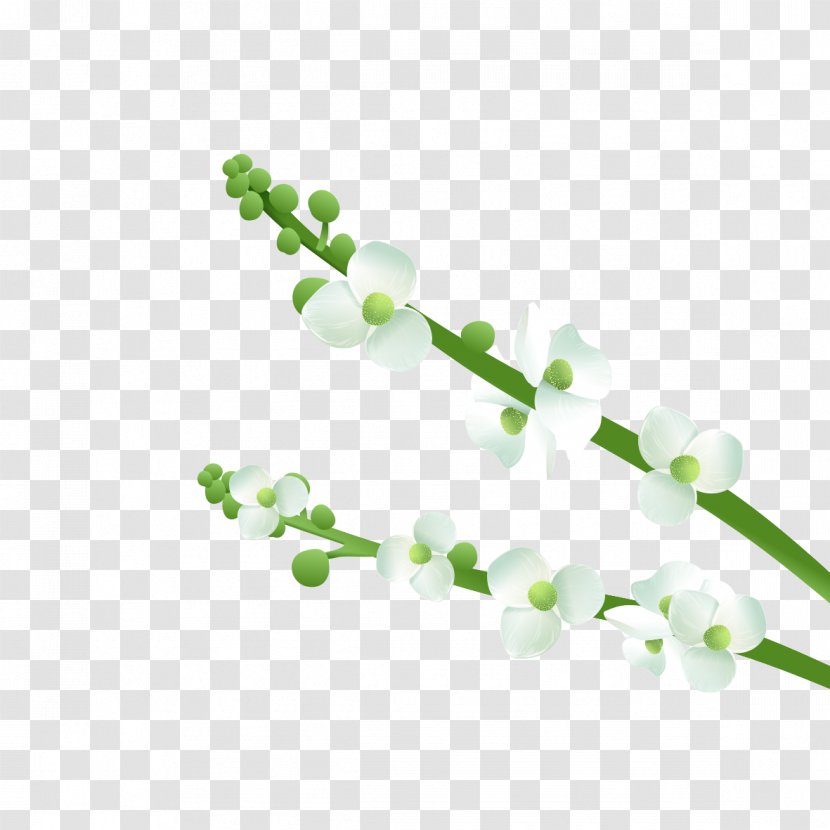Illustration - Green - Plant Fresh Flowers Transparent PNG