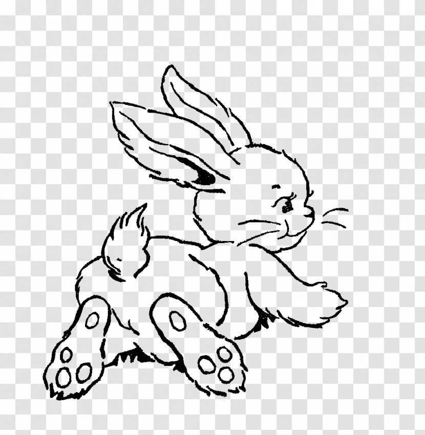 Easter Bunny Line Art Drawing Rabbit Clip - Frame Transparent PNG