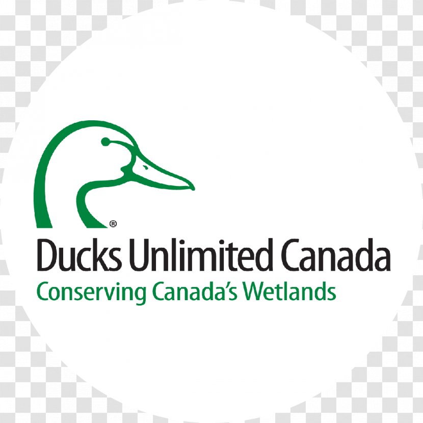Ducks Unlimited Ontario Wetland Conservation Organization - Text - Water Bird Transparent PNG
