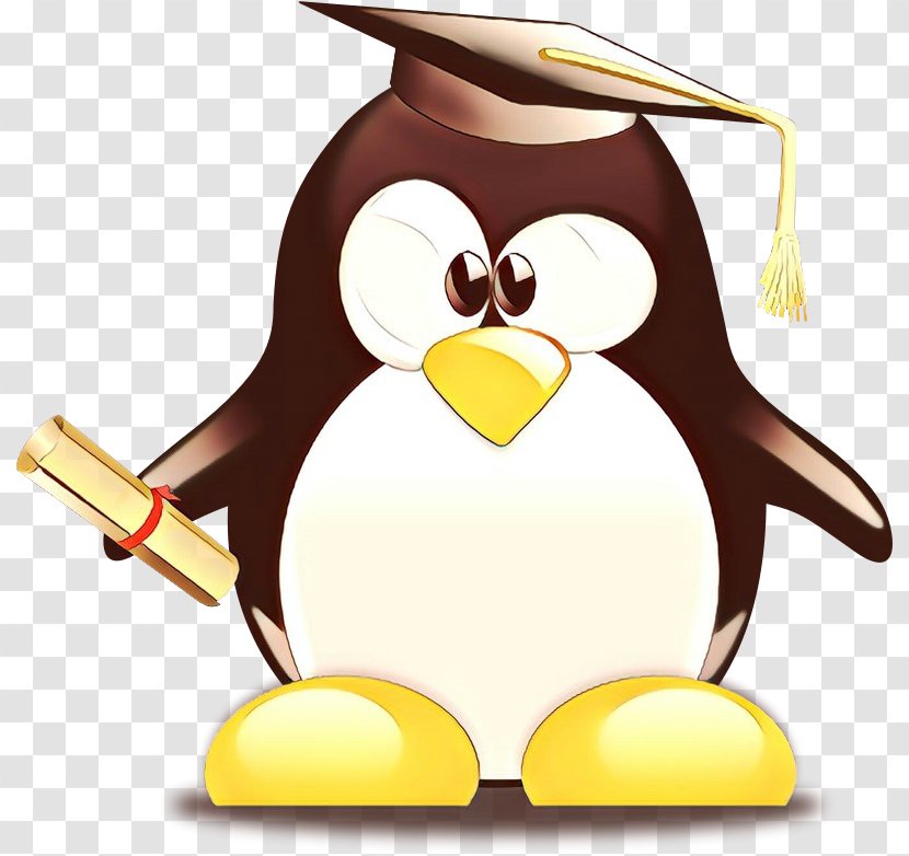 Penguin Graduation Ceremony Graduate University Clip Art School - Diploma Transparent PNG