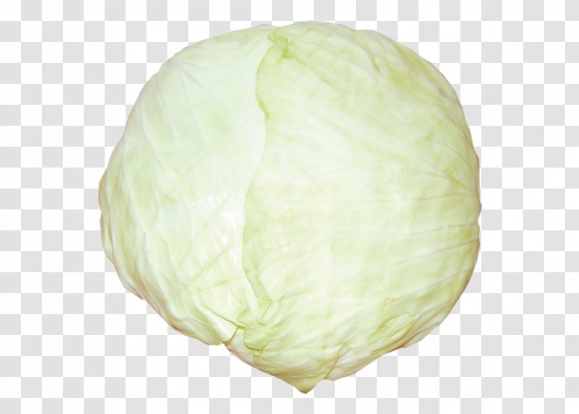 Cabbage - Food Transparent PNG