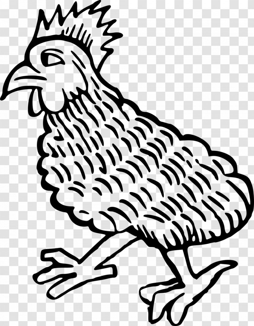 Rooster Plymouth Rock Chicken Bird As Food Poultry - Tree Transparent PNG