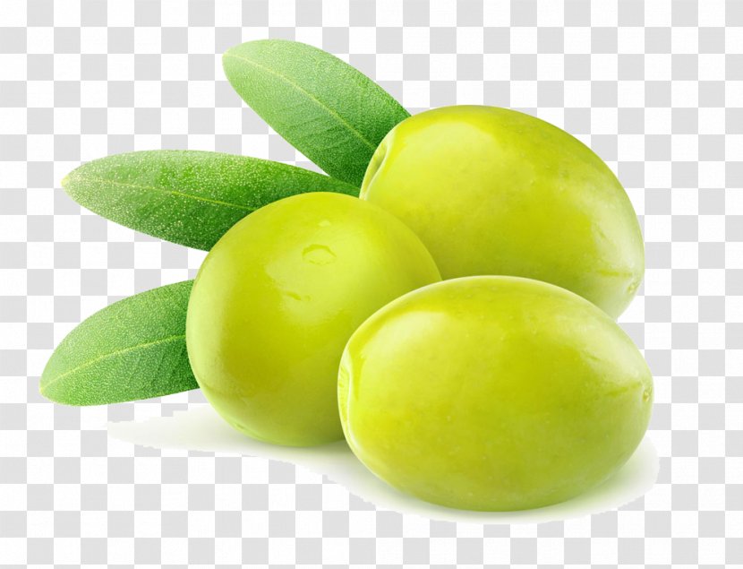Olive Branch Leaf Stock Photography - Royaltyfree - Fruits Transparent PNG