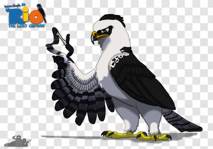 Eagle Vulture Fauna Beak - Bird Of Prey Transparent PNG