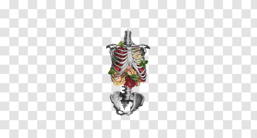 Flower Human Skeleton Lung Anatomy Skull - Cartoon - Creative Hand-painted Transparent PNG