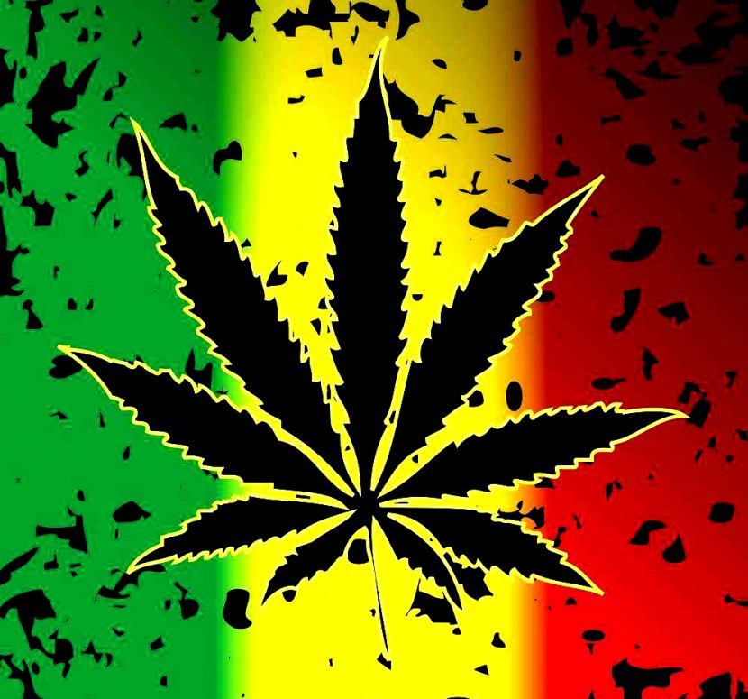 Cannabis Sativa Reggae Smoking 420 Day - Leaf Transparent PNG