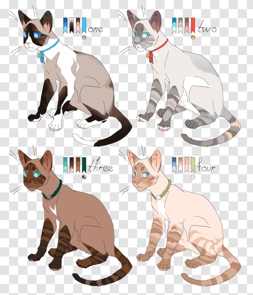 Kitten Siamese Cat Munchkin Whiskers Paw - Like Mammal Transparent PNG