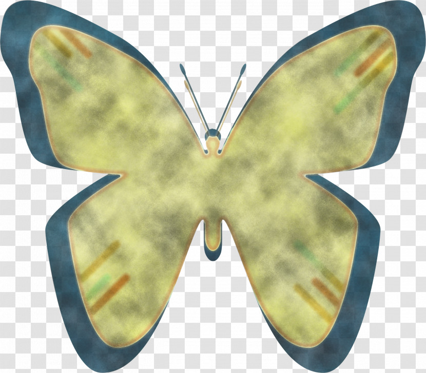 Brush-footed Butterflies Pieridae Moth Symmetry Transparent PNG