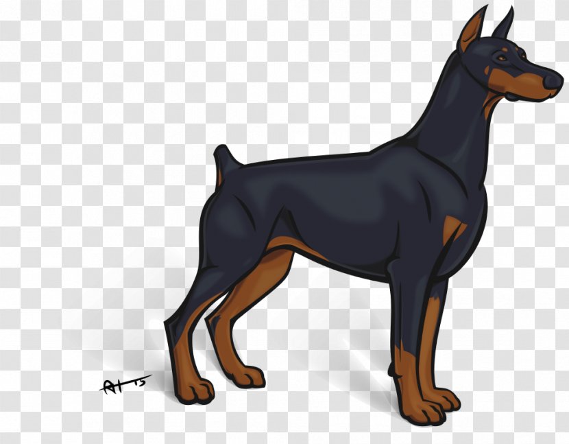 Dobermann German Pinscher Miniature Manchester Terrier English Toy - DOBERMANN Transparent PNG