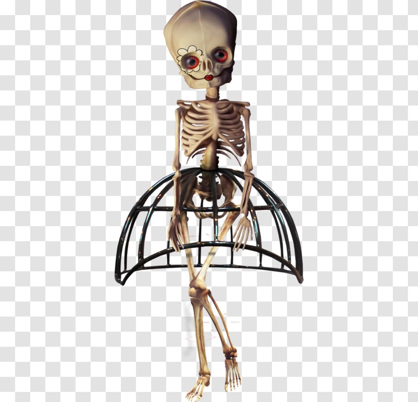 Human Skeleton Halloween Skull - Beauty Transparent PNG