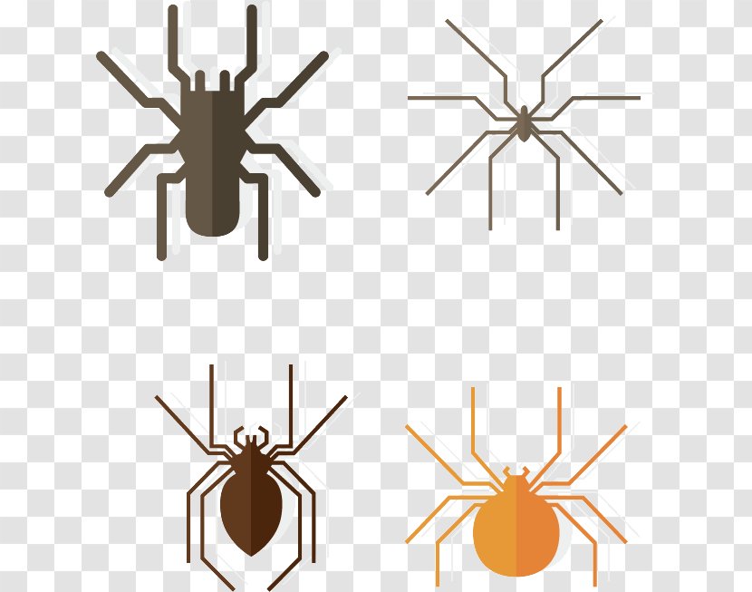 Spider Southern Black Widow Insect Latrodectus Tredecimguttatus Euclidean Vector - Tarantula - Combination Chart Transparent PNG