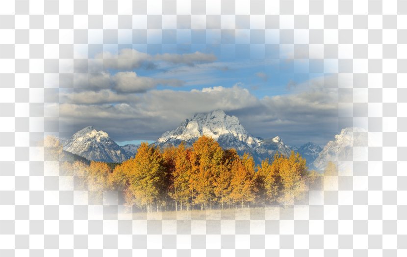 Desktop Wallpaper Computer Tree Sky Plc - Daytime Transparent PNG