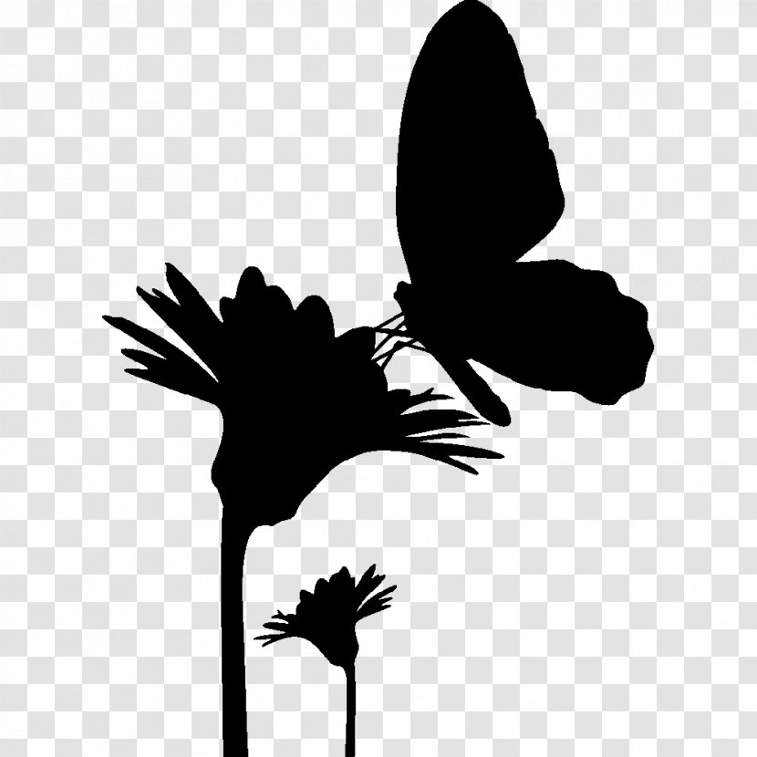 Butterfly Silhouette Drawing - Bird Transparent PNG