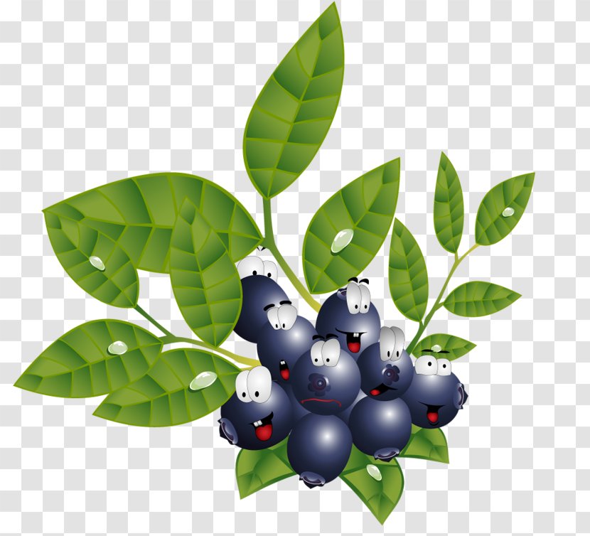 Bilberry Huckleberry Presentation - Fruit - Blueberry Transparent PNG