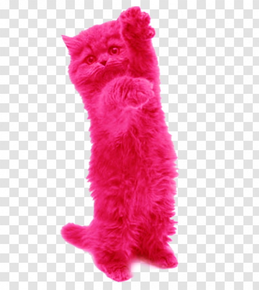 Cat Pink Toy Small To Medium-sized Cats Fur - Supply Kitten Transparent PNG