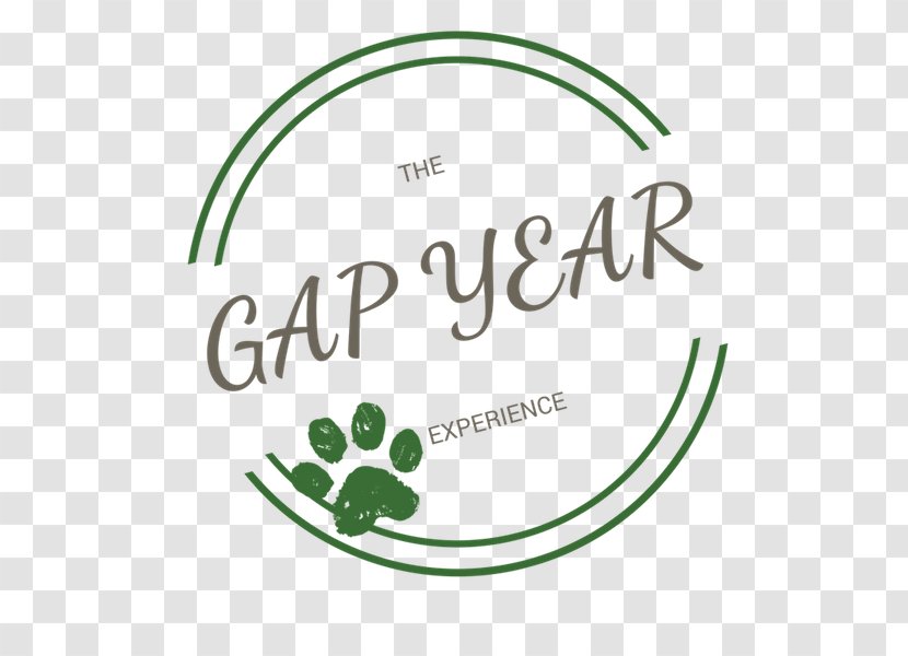 Cornerstone Preparatory Academy School Graduate University College - Leaf - Gap Year Transparent PNG
